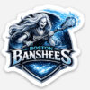 BansheesSticker Warlock Stickers - 3 pack - Banshees, Shadow Meow, Ball Down!